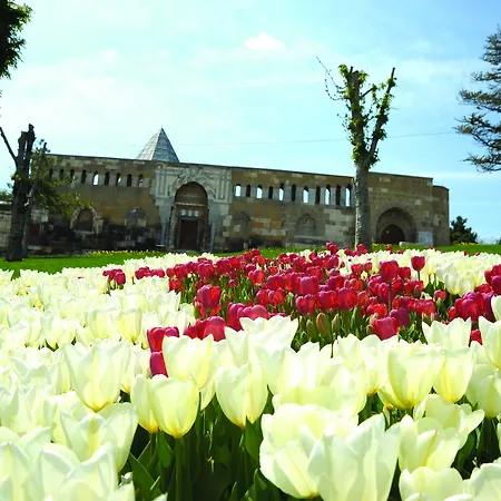 Dündar Konya